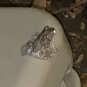 Meet your Posher, Valerie